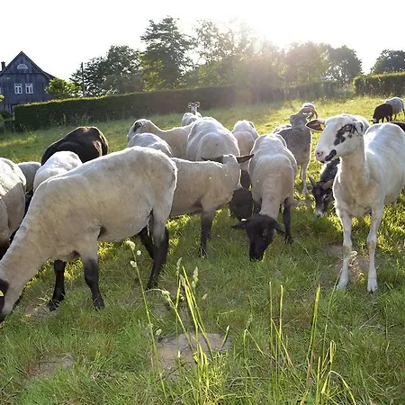 Apartmán Living Green Teichhofschmiede